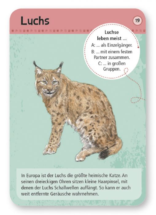 Expedition Natur - 50 heimische Wald- & Wildtiere - Moses Verlag