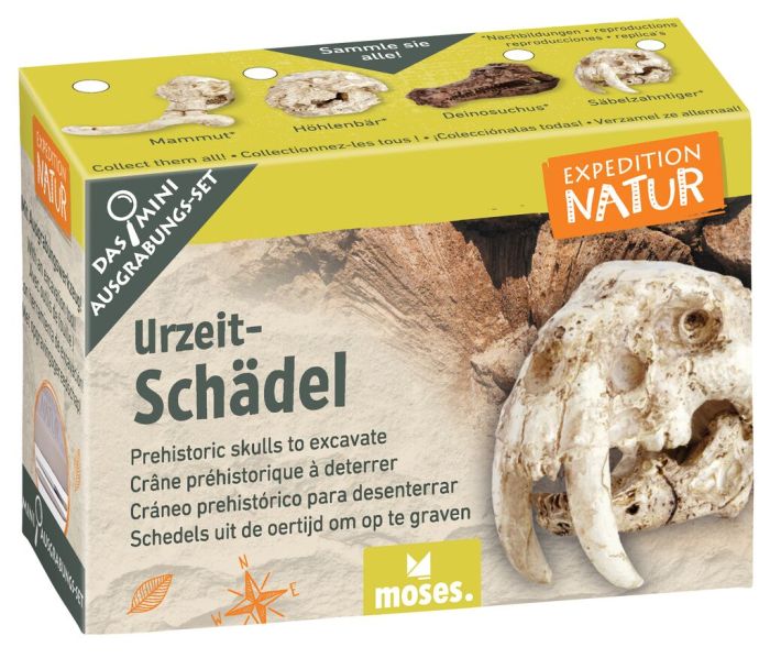 Expedition Natur Mini-Ausgrabungsset versch. Varianten - Moses Verlag