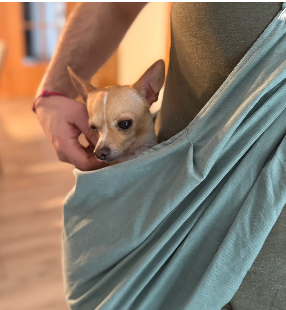 Hundetragetasche aus Cord - Milli Wonka
