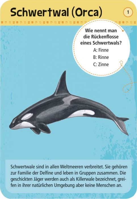 Expedition Natur - 50 Meerestiere - Moses Verlag