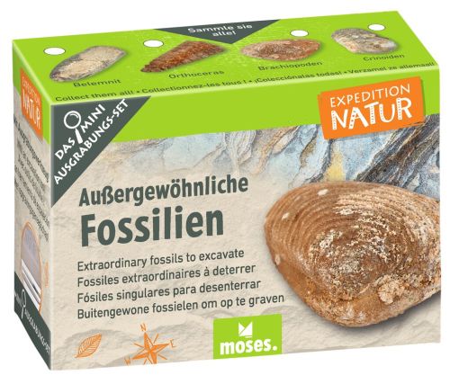 Expedition Natur Mini-Ausgrabungsset versch. Varianten - Moses Verlag