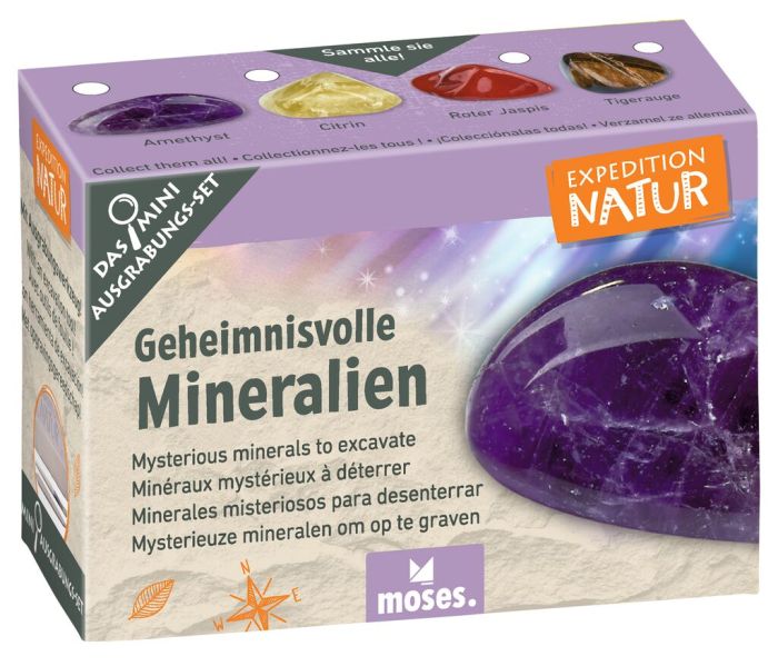 Expedition Natur Mini-Ausgrabungsset versch. Varianten - Moses Verlag