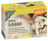 Expedition Natur Mini-Ausgrabungsset versch. Varianten - Moses Verlag