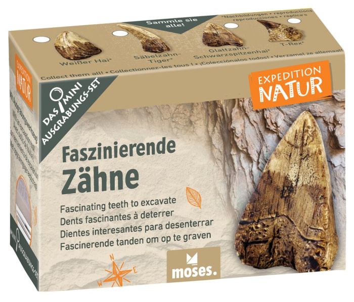 Expedition Natur Mini-Ausgrabungsset versch. Varianten - Moses Verlag