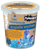 PhänoMINT Kristalle züchten - Moses Verlag