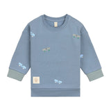 Kinder Pullover - Bio Baumwolle, Skateboard Blau - Lässig