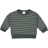 Babysweatshirt Stripe balance green /poerty green - Müsli by Green Cotton