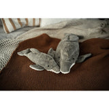 Kuscheltier Delfin klein - Senger Naturwelt