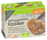 Expedition Natur Mini-Ausgrabungsset (versch. Sets) - Moses